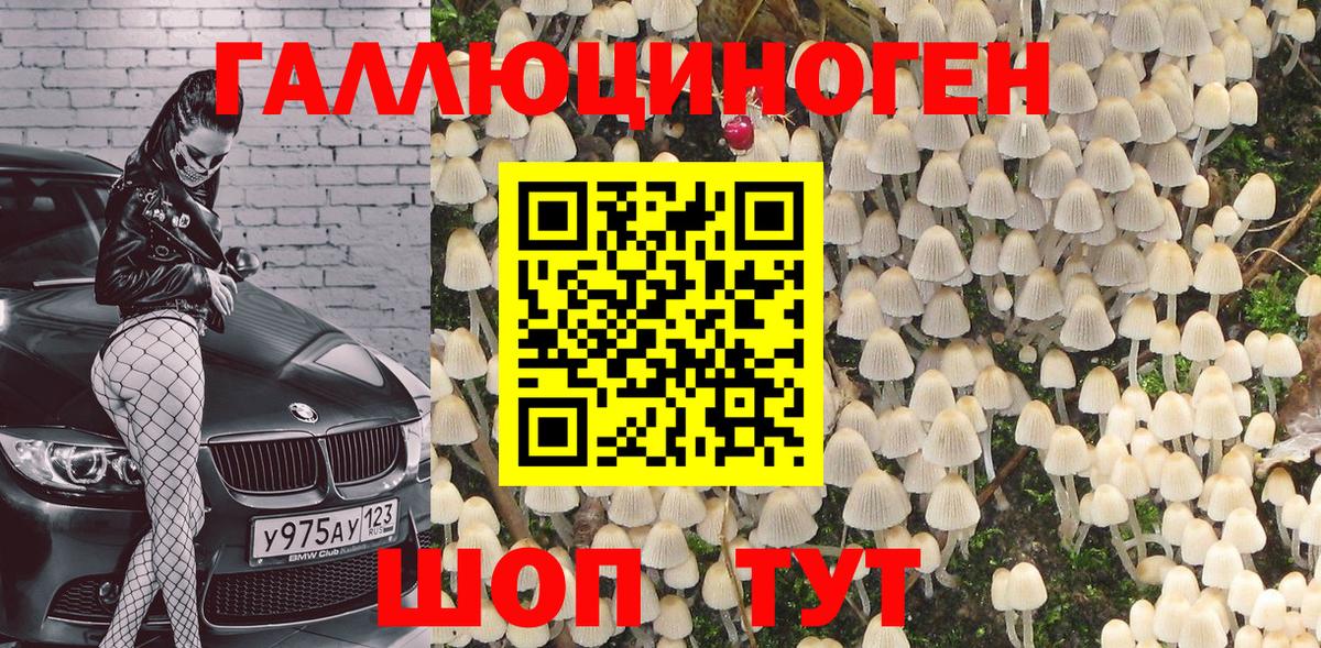 Псилоцибиновые грибы MAGIC MUSHROOMS Выборг