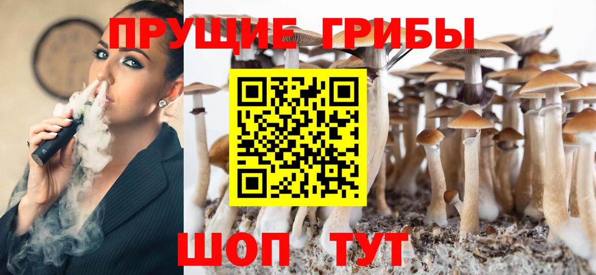 где купить наркоту  Вход с VPN  Выборг  Псилоцибиновые грибы Magic Shrooms 